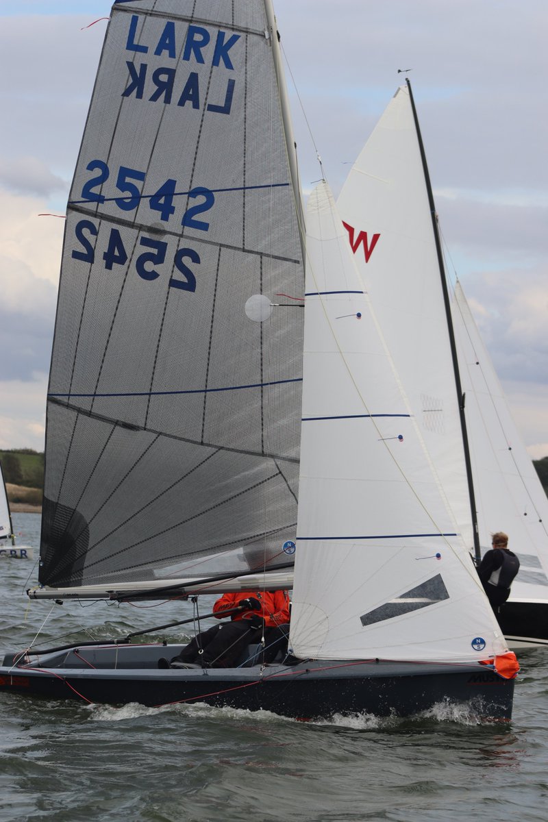 larksailing tweet media