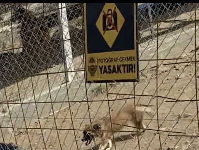 Aylin 🦋🪼🌍 (@aylinvepatileri) on Twitter photo Neden Yasaktır ⁉️
<a href="/yalovavaliligi/">T.C. Yalova Valiliği</a> ve Tüm valiler dahil cevap veriniz;
Hayvan BARINAKLARINDA fotoğraf çekmek neden yasak⁉️
NEDEN⁉️
#BeslemeYasaklanamaz
#7527iptalEdilsin
<a href="/drkayahulya/">Dr.Hülya Kaya</a> <a href="/kocaelivaliligi/">TC Kocaeli Valiliği</a>
<a href="/AnkaraValiligi/">T.C. Ankara Valiliği</a> <a href="/TC_istanbul/">TC İstanbul Valiliği</a>
<a href="/izmirvaliligi/">T.C. İzmir Valiliği</a> <a href="/dbakirvalilik/">T.C. Diyarbakır Valiliği</a> Neden Yasaktır ⁉️
<a href="/yalovavaliligi/">T.C. Yalova Valiliği</a> ve Tüm valiler dahil cevap veriniz;
Hayvan BARINAKLARINDA fotoğraf çekmek neden yasak⁉️
NEDEN⁉️
#BeslemeYasaklanamaz
#7527iptalEdilsin
<a href="/drkayahulya/">Dr.Hülya Kaya</a> <a href="/kocaelivaliligi/">TC Kocaeli Valiliği</a>
<a href="/AnkaraValiligi/">T.C. Ankara Valiliği</a> <a href="/TC_istanbul/">TC İstanbul Valiliği</a>
<a href="/izmirvaliligi/">T.C. İzmir Valiliği</a> <a href="/dbakirvalilik/">T.C. Diyarbakır Valiliği</a>