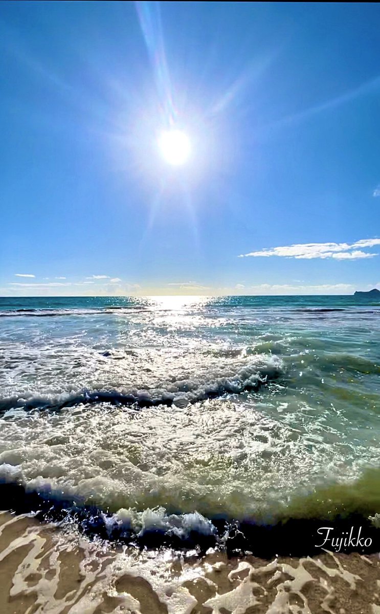 hawaiifujikko's tweet image. 🏝️ Hawai’i        

                 ⋆𓈒･:*࿐ 𝑅𝑒𝓁𝒶𝓍𝒾𝓃𝑔 𝓉𝒾𝓂🐠