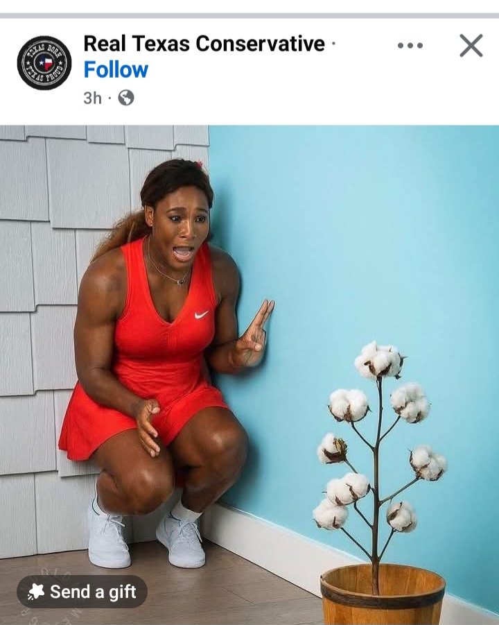 West Virginia Mountaineers 💛 💙 💛 💙 tweet media