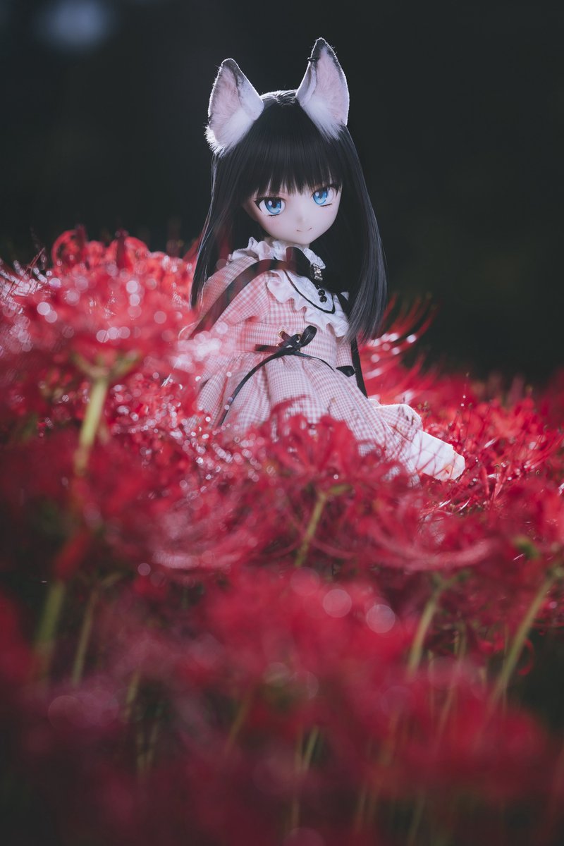 shiitake028's tweet photo. 🩶❤️

#ぽもろこ 
#ナナイロテントウ https://t.co/3xsGnM1jQy