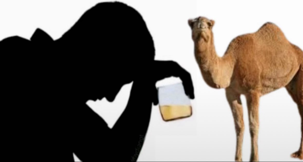 ام ظبيه🦌 tweet media