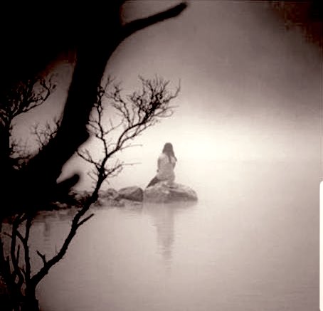 ربّما لَمْ ينتهي الشّعور بلْ أصبح بلا معنى ..✨