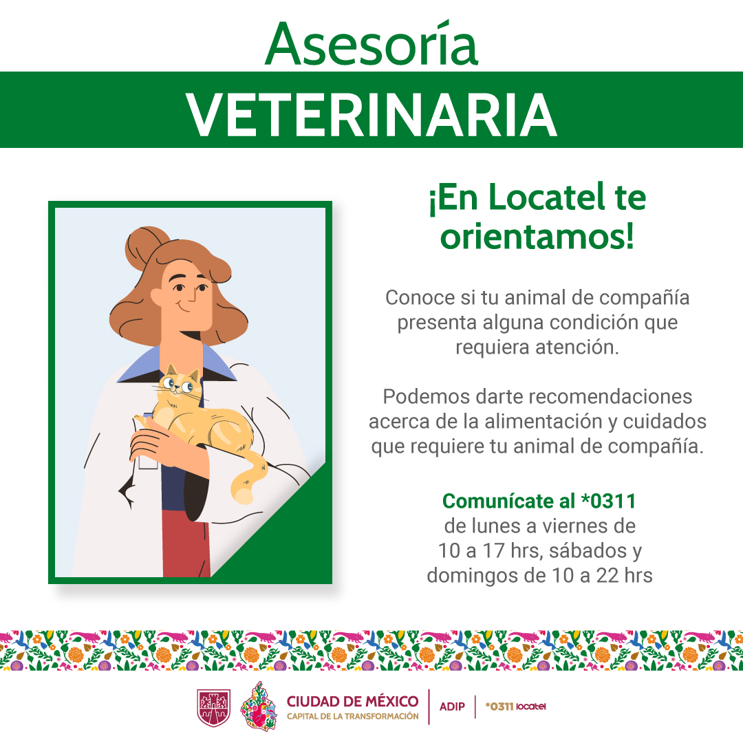 @locatel_mx tweet media