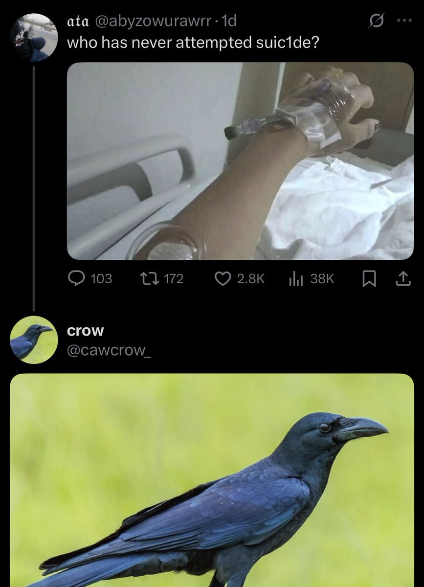 steampointsshop's tweet image. 