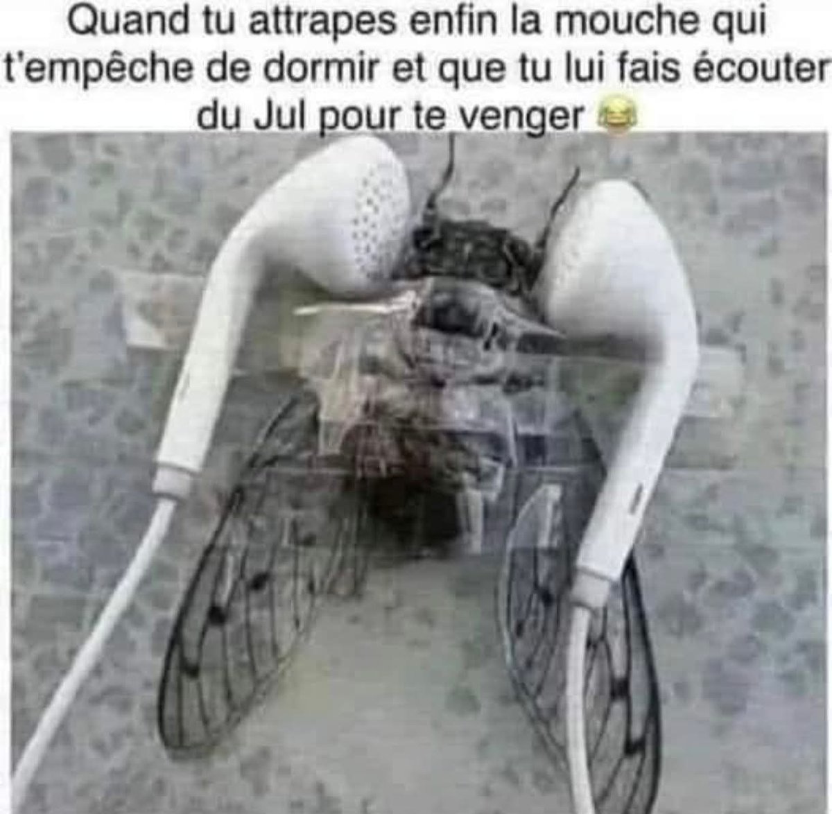 vivige (@vivige1976) on Twitter photo 