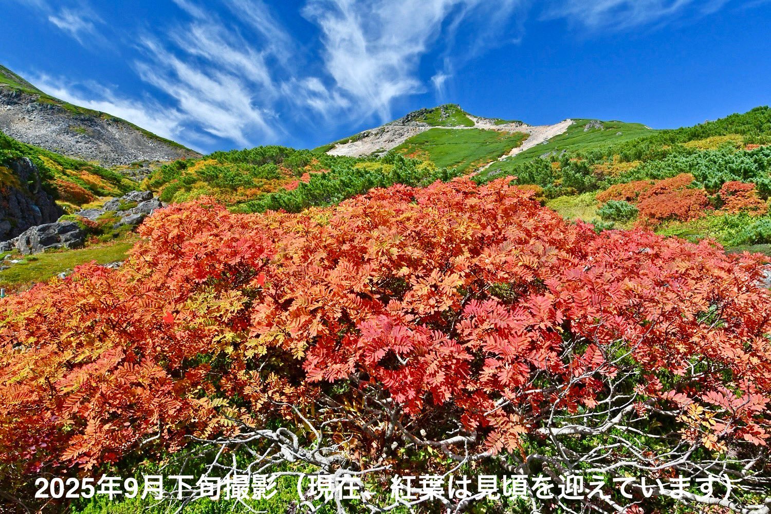 乗鞍大雪渓WebSite on X: 