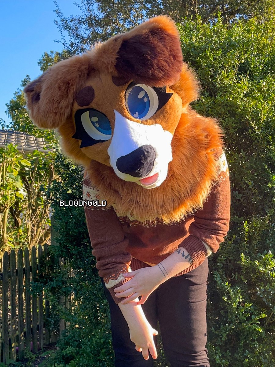 ⚜️Newest completed suit, meet Harper 3.0!