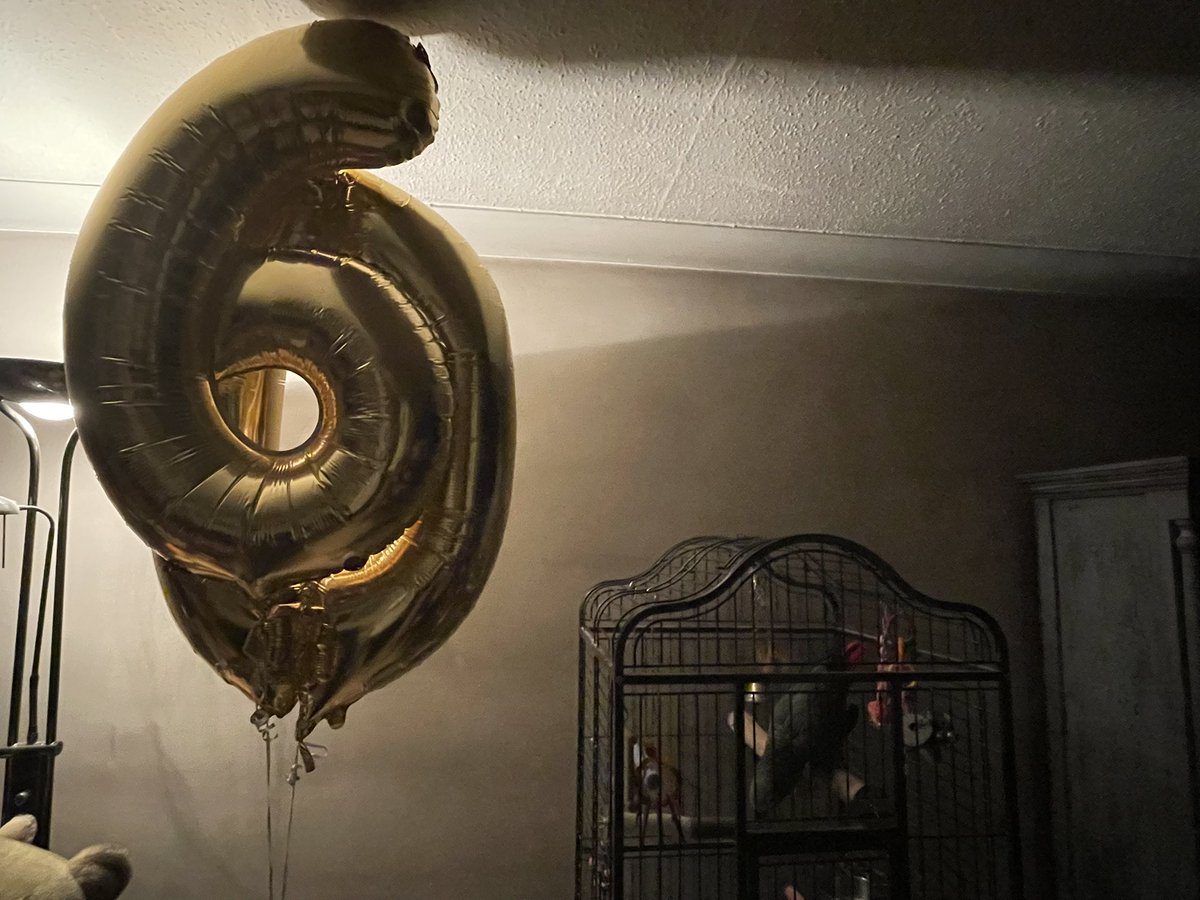 Saint Stanley Parrot OBE CPP 🦜 tweet media