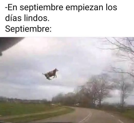 Out of context San Juan tweet media