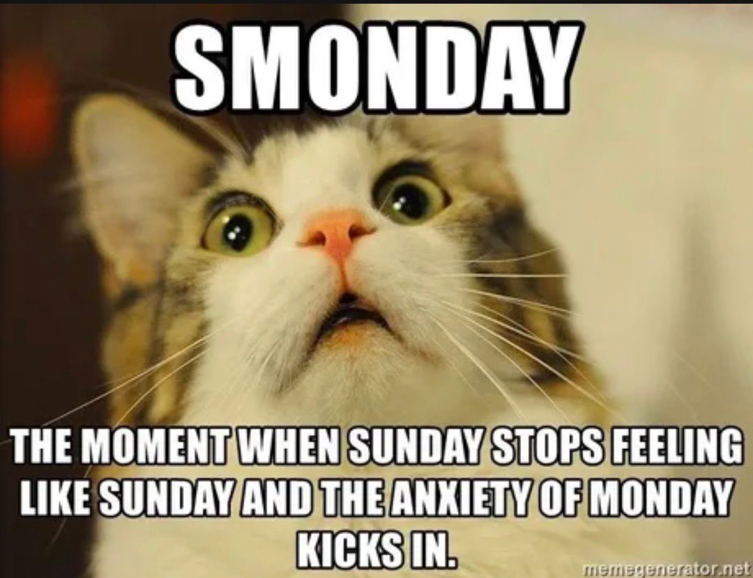 ebert_ann's tweet image. Especially since it’s just about SMONDAY😬😬