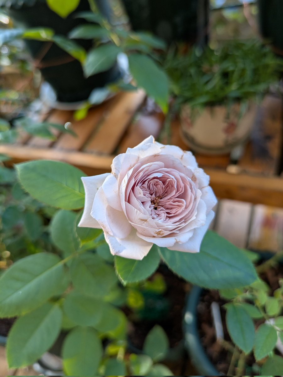 ちーちゃん (@3tQy5nQ8gE0xzcG) / Posts / X