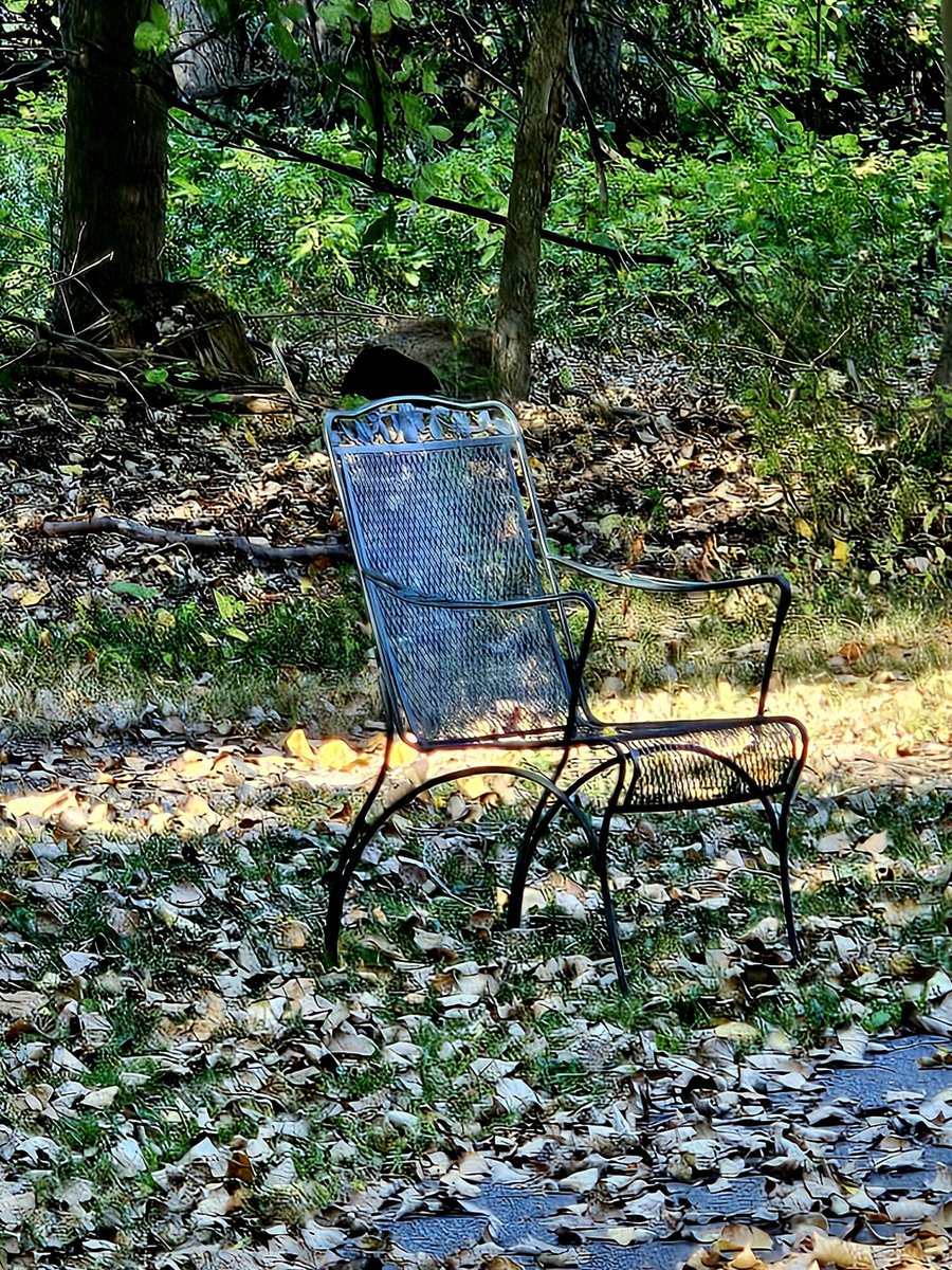 Programazing's tweet image. My favorite place to sit and think in the evening