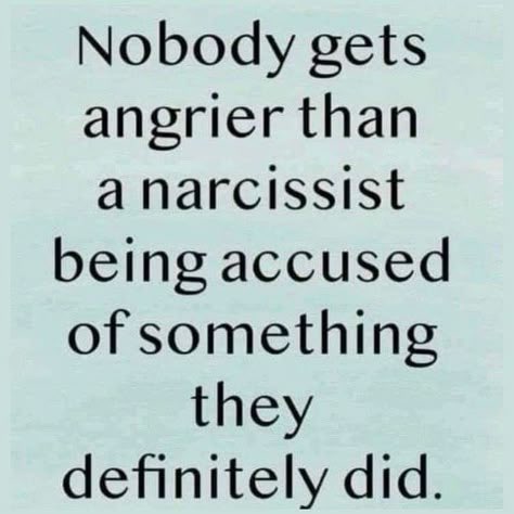 Ryan Daigler - Exposing Narcissistic Abuse 🚩🚩 tweet media