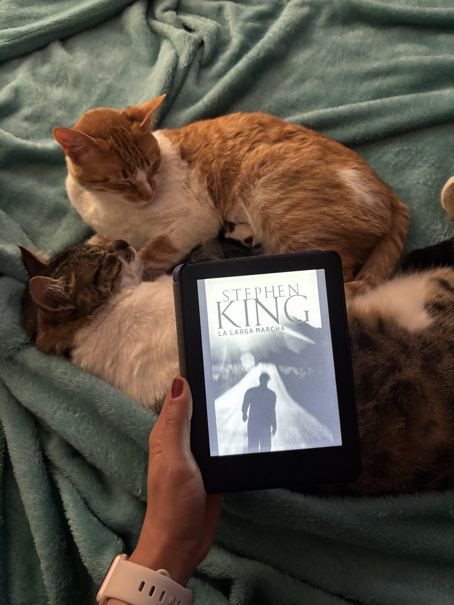 norilalibrera's tweet photo. Domingo de … 📚♥️ https://t.co/U1KSjyypdi