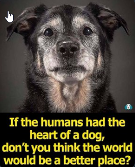 Fearsome (@ozineide3) on Twitter photo 