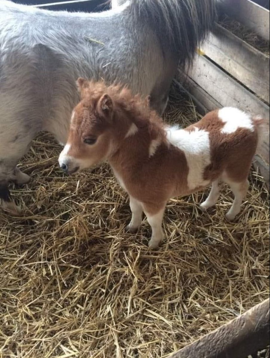 I need the coolest name!