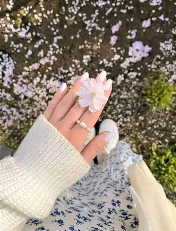 "تكتمل حياتنا بأشياء وتنقص بأخرى ، ليست مسألة حظ ، إنما هي أقدار يعطي اللّه لكل ذي حقٍ حقه ، فالحمد لله دائمًا وأبدا .."🦋

#بوح_الخاطر