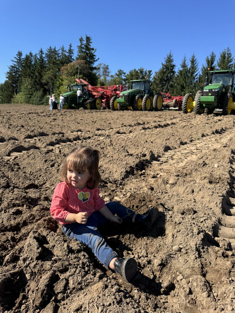 DVdZ2🇨🇦 tweet media