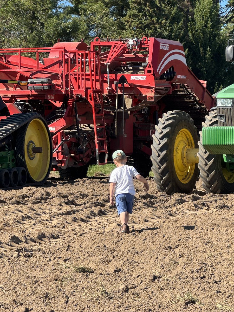 DVdZ2🇨🇦 tweet media