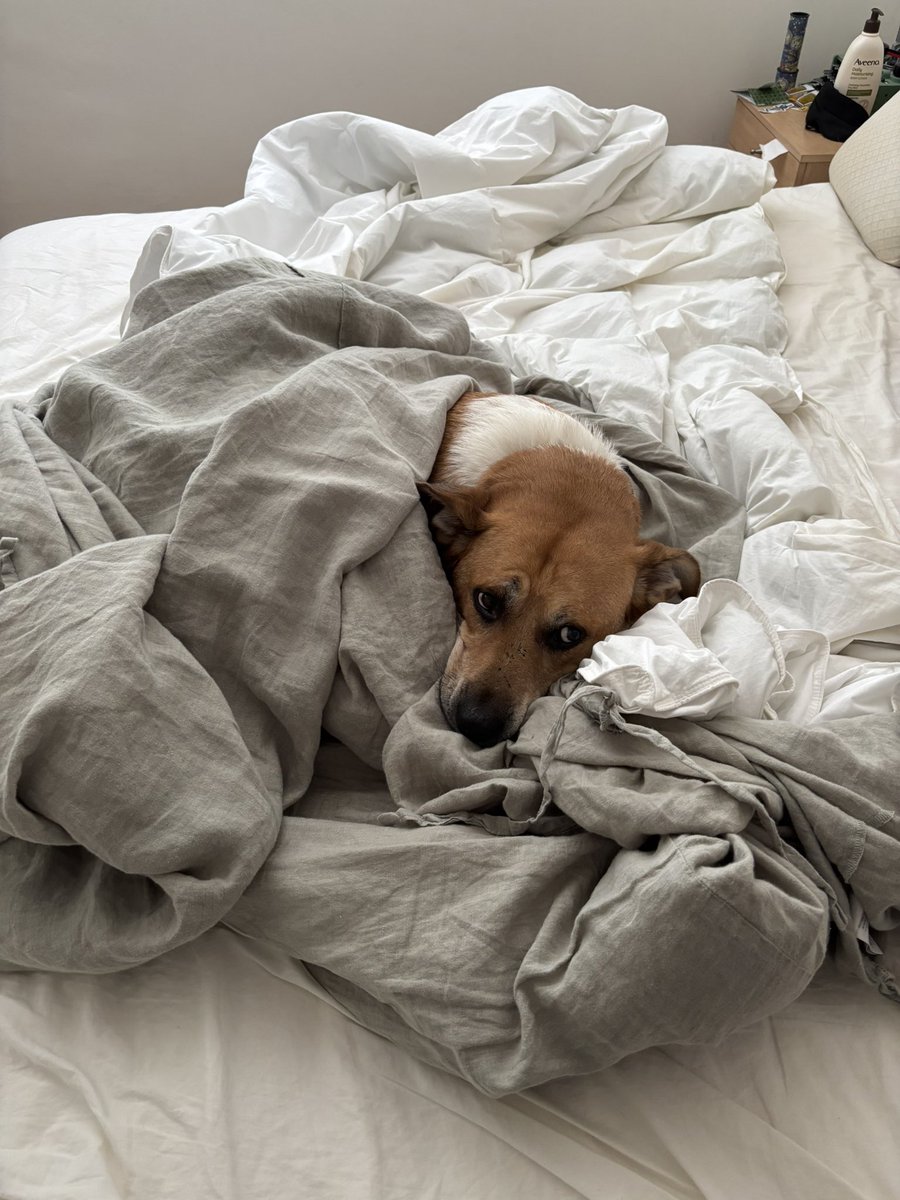 Helping with the laundry