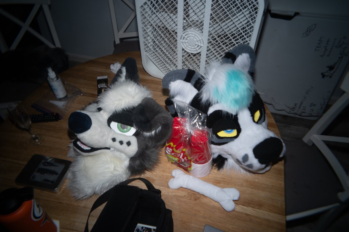 White squirrel wasted

 <a href="/SkeezeeRiffs/">skeezee 🔜 MFF</a> <a href="/JanoWitAGuitar/">Jano !! 💉 🔜 ANE</a> <a href="/Canis_stellae/">Atlas 💫 🔜 ANE</a> <a href="/SmokyRacc/">Smoky 🫩 🔜 ANE?</a>