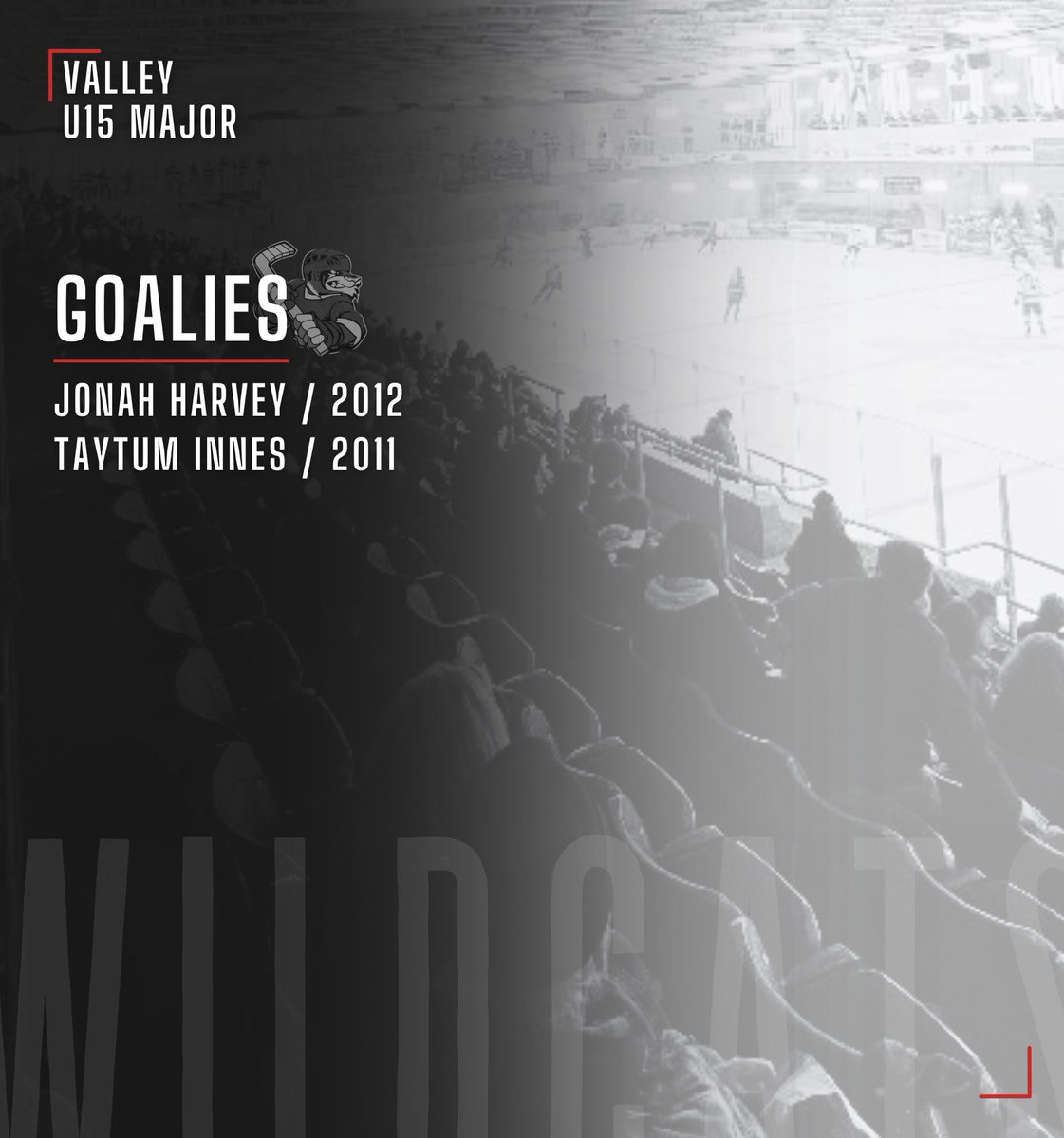 Introducing your 2025-26 U15 Bage Valley Wildcats!