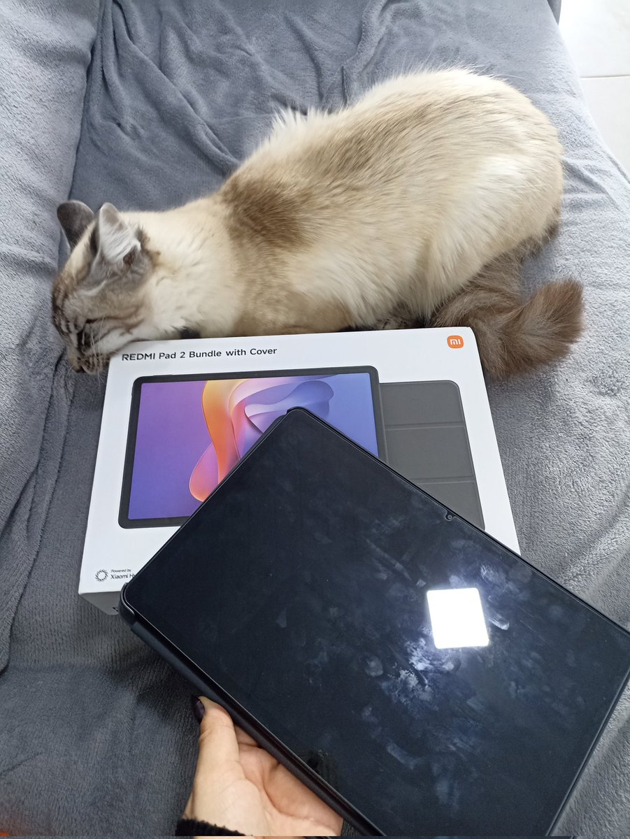 comprei o tablet redmi pad 2 e nunca fui triste

caju querendo morder a caixa
