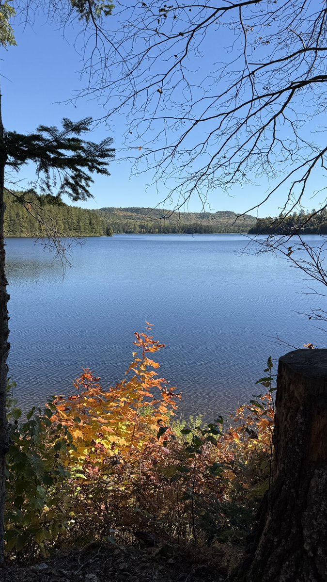 #LGBTQIAAutumnWhispers
L’automne au Canada c’est autre chose !