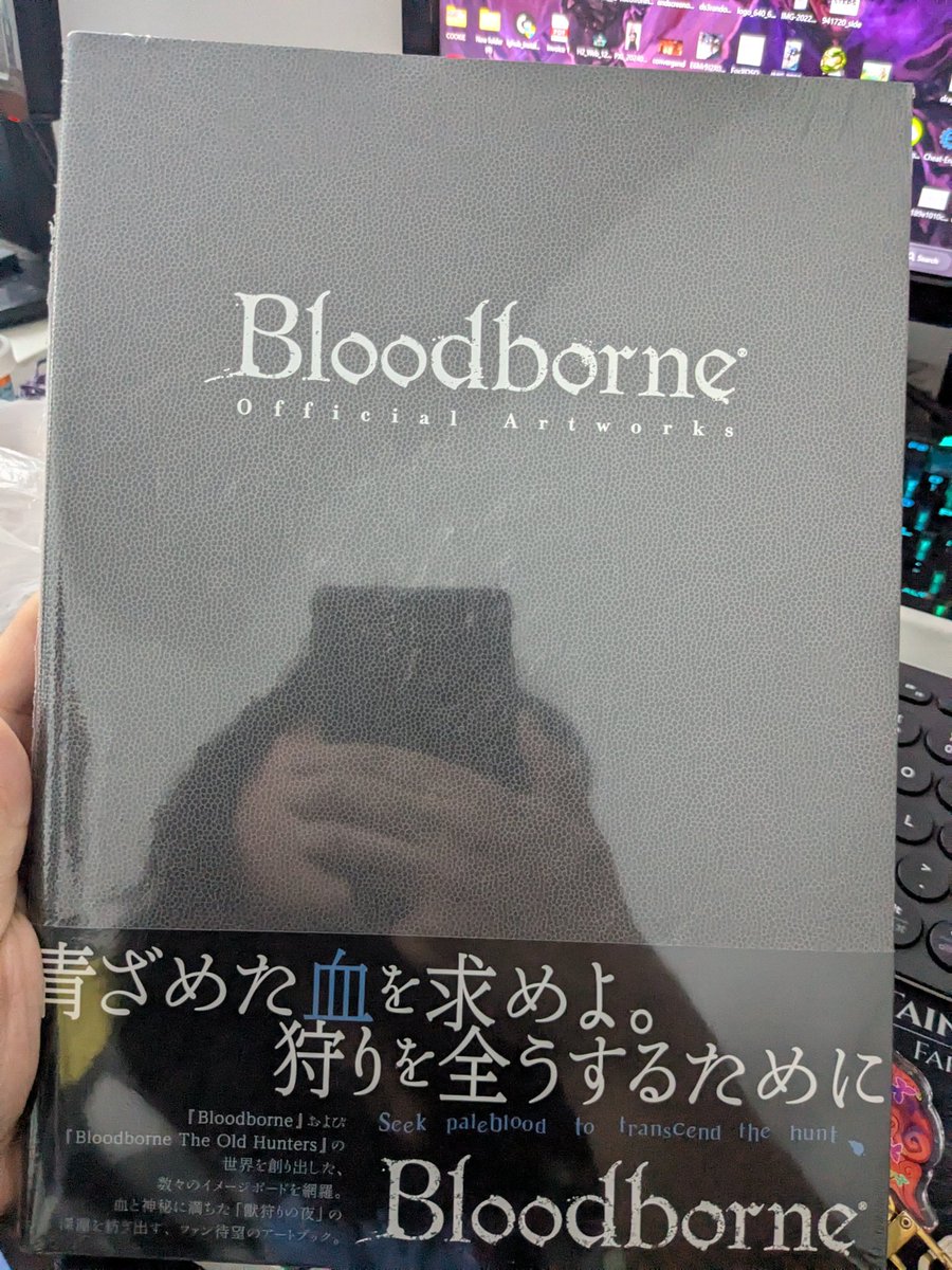Bought a Japanese bloodborne leather back art book