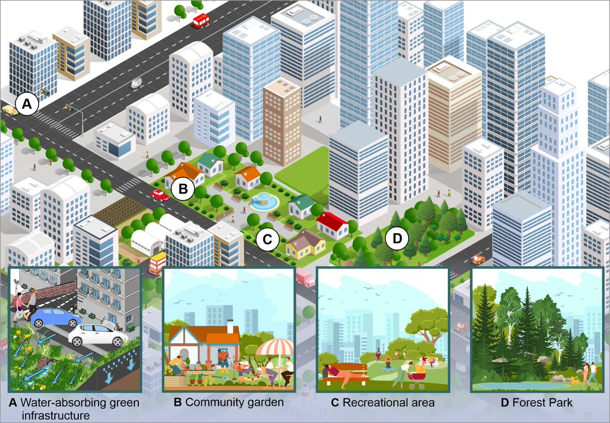 WiktorHalecki's tweet photo. Redefining urban spaces in stormwater assessment through ecosystem management: A narrative review | Ambio https://t.co/szv3RJF6Ac