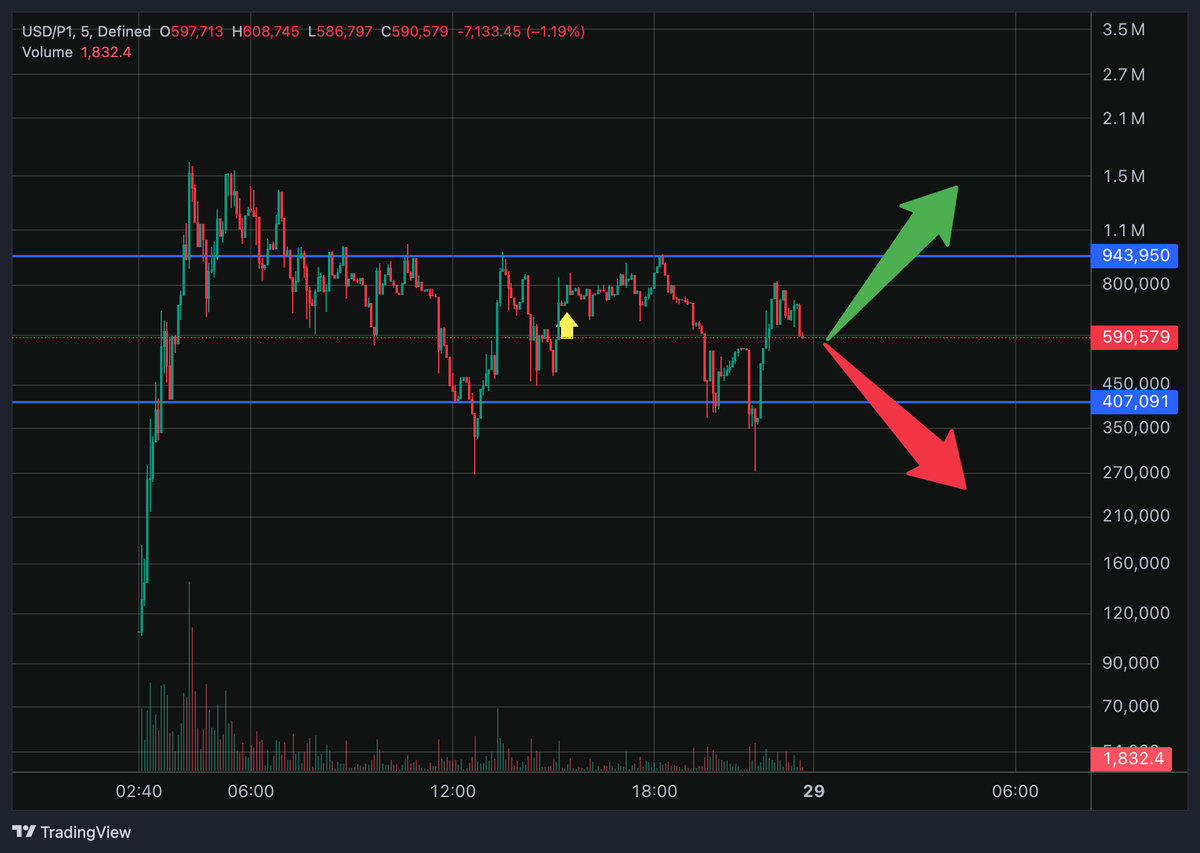 𝘽𝙍𝘼𝘾𝙀 tweet media