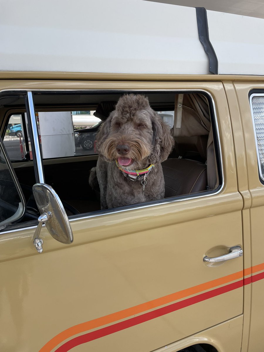 AZVWBusClub's tweet photo. Weather is looking up. Took a drive,  put gas,  just needed to look at the crazy people driving 😝 

Everybody drive la like it’s a race. I’m just trying to enjoy a Sunday afternoon.  

Dogs had a pup cup each.

P.S.  Lety’s Bus  is a 1979 Riviera.  Last year of the bay. https://t.co/OK2JWOYEUA