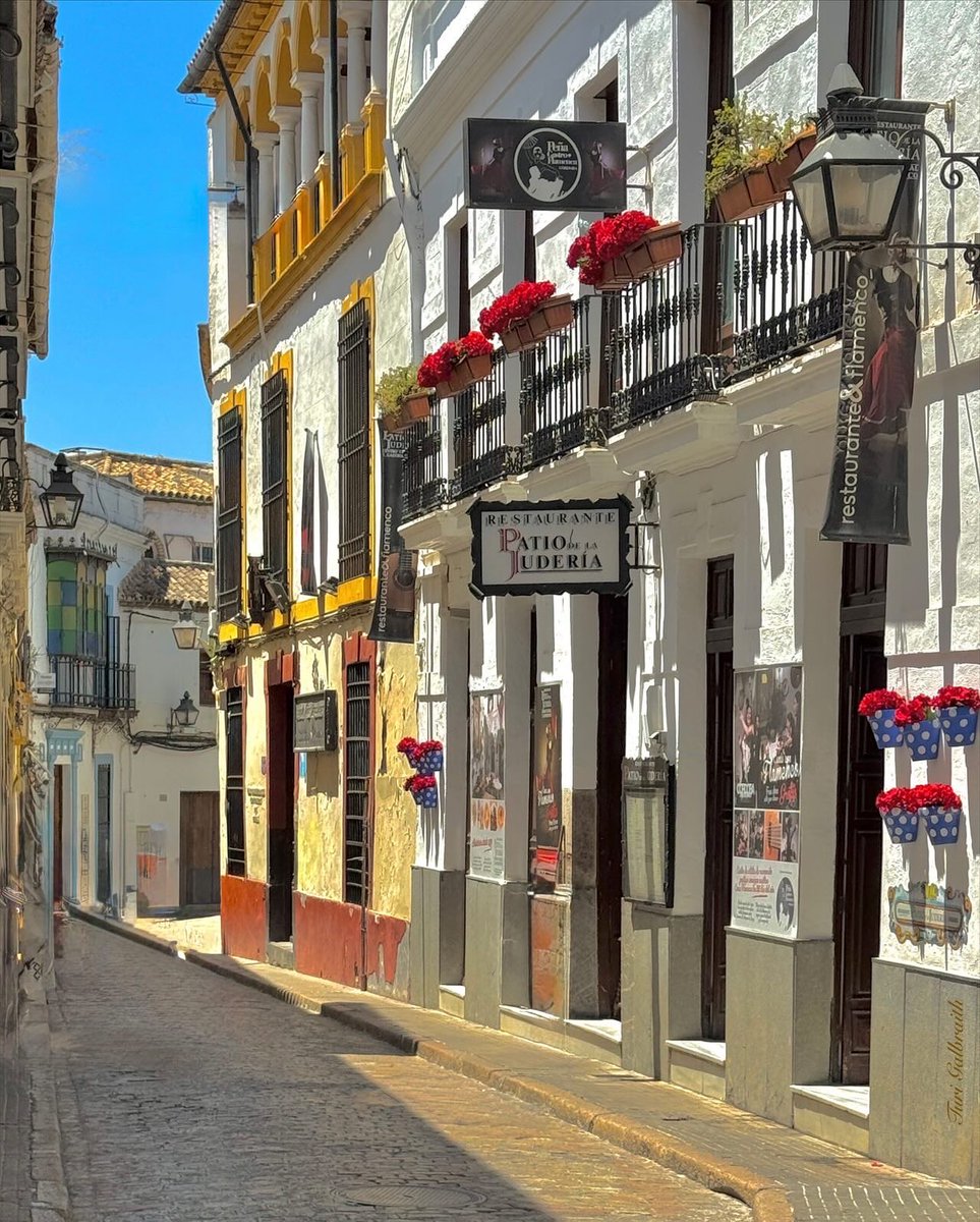 Turi Galbraith tweet media