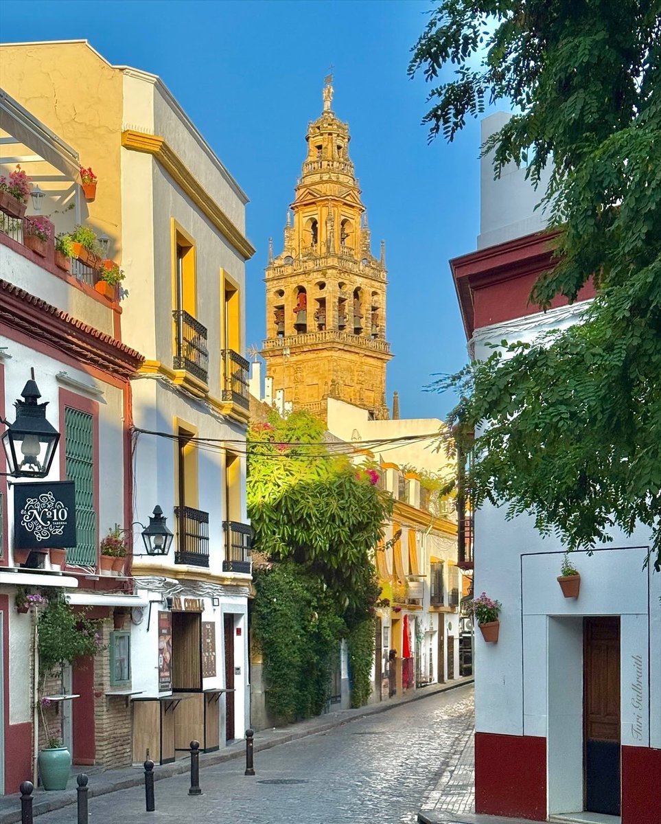 Turi Galbraith tweet media