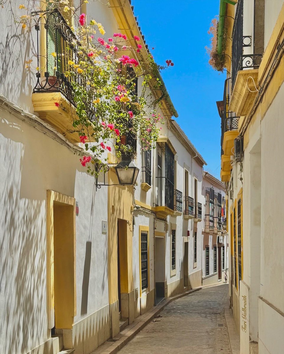 Turi Galbraith tweet media