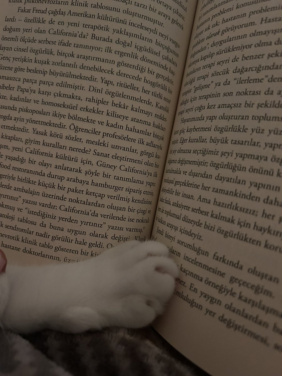 Patisini çekene kadar aynı sayfayı okuyacağım.