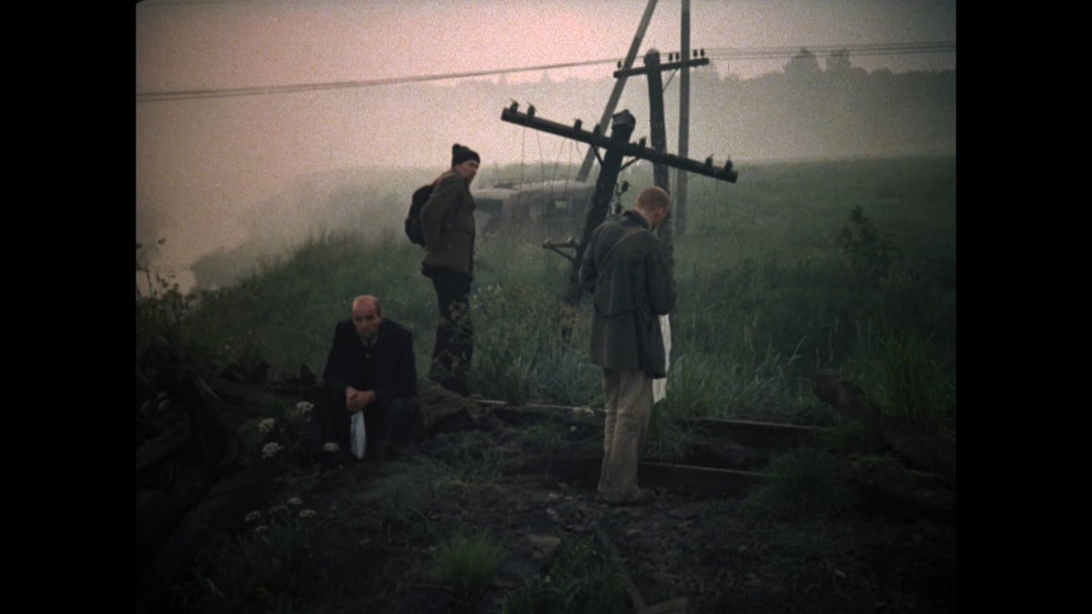 Chungking Archive tweet media