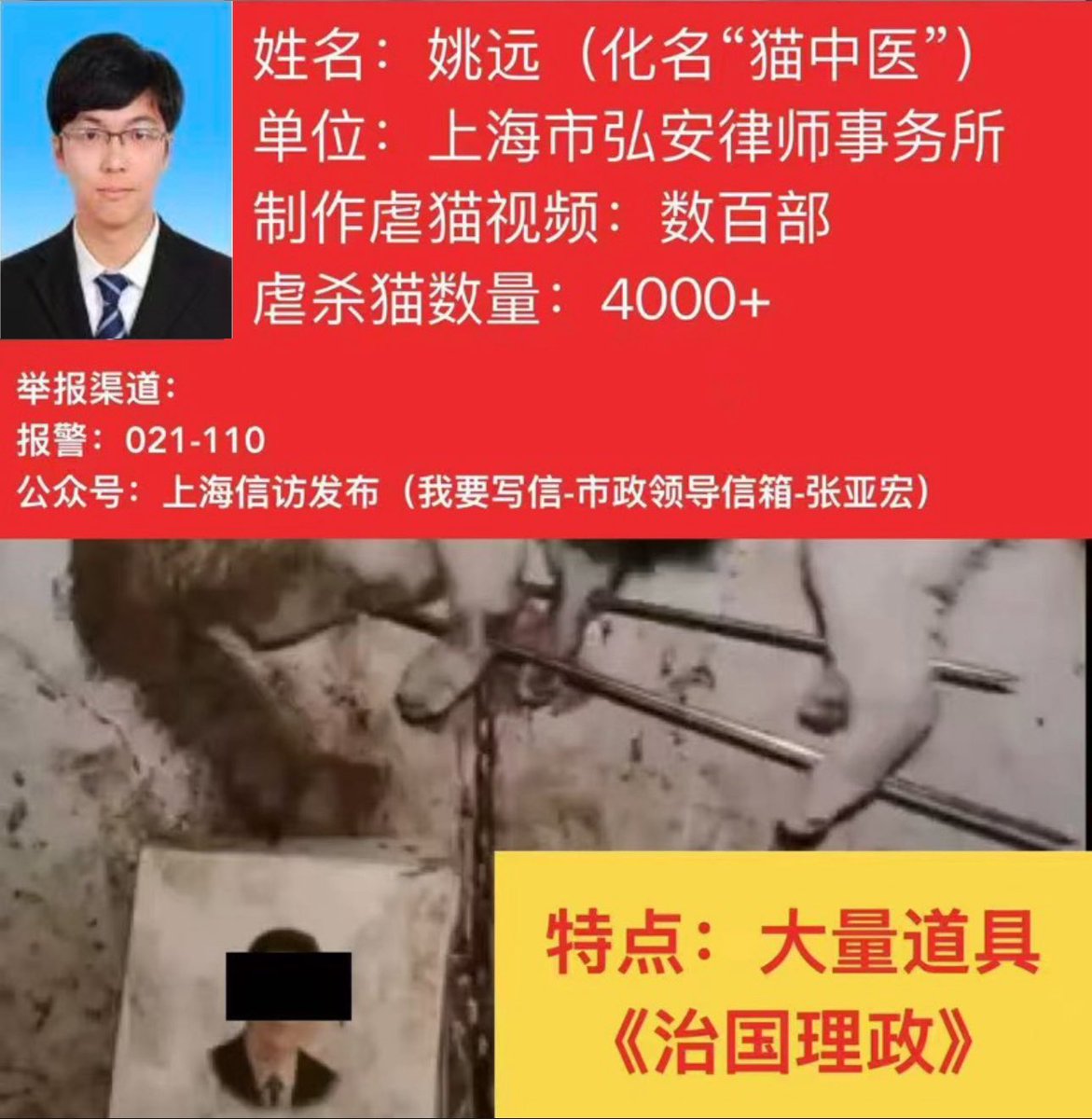 sne70433's tweet image. @HeRulong why does China refuse to enact laws against animal torture? WHY won’t you punish  these individuals for torturing cats on social media for sexual pleasure? In Iceland cats are beloved. We will ensure western governments know of Chinese hatred of beauty and innocence