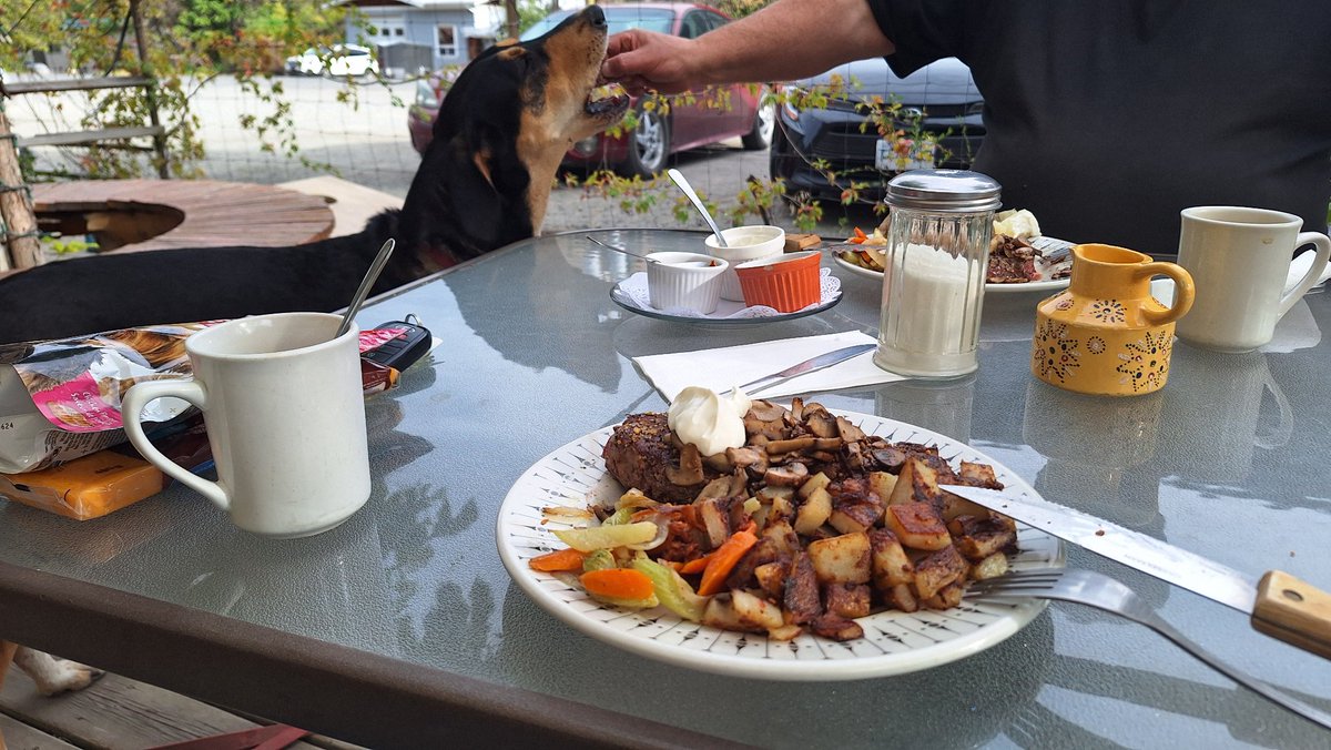 Why cheese and milk bones when there is steak within reach?