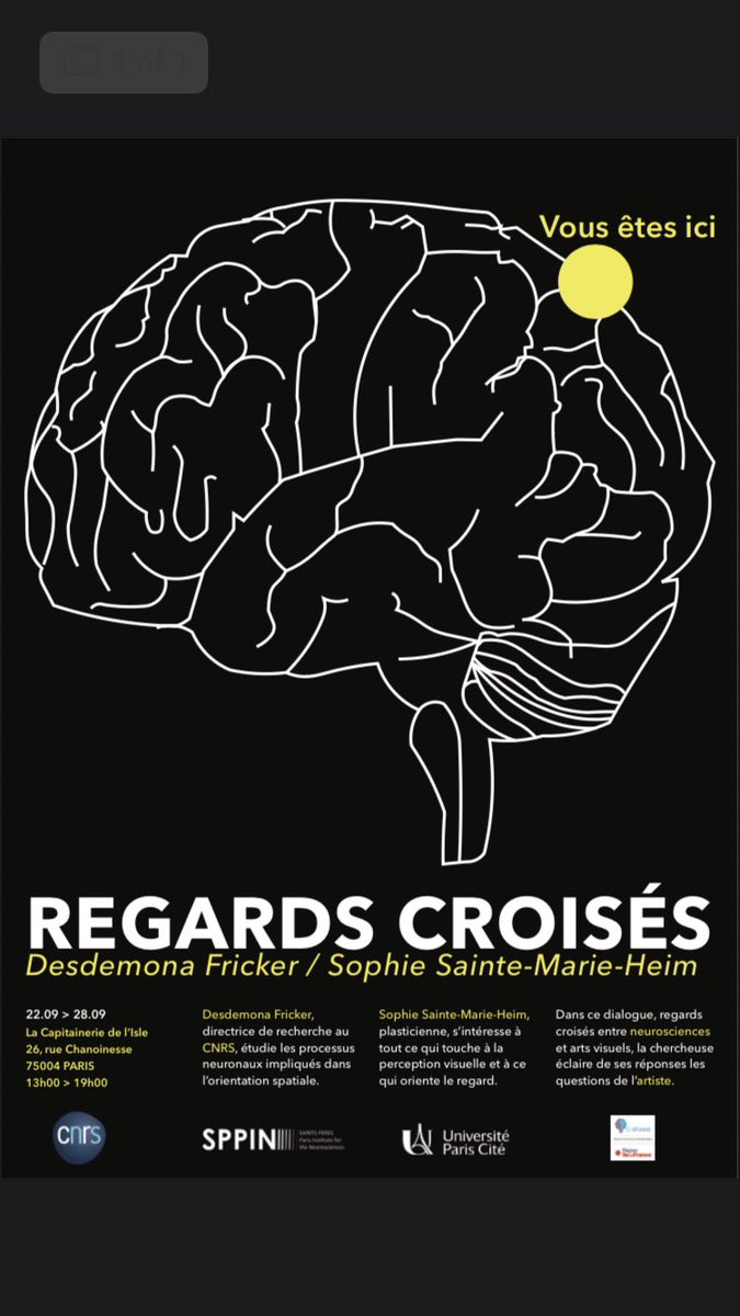 desdemonaF's tweet photo. 🧠 When Art meets Science! Exhibit “Regards Croisés” presented our research along with an abstract interpretation by Parisian artist 🎨 Sophie Sainte-Marie-Heim. Proud of the Orientation &amp; Coordination team ⁦@CNRS⁩ and grateful to ⁦@RegionIleFrance⁩ for their support https://t.co/bEbs4pBD28