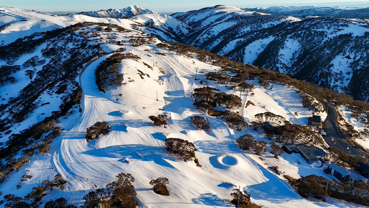 Hotham tweet media