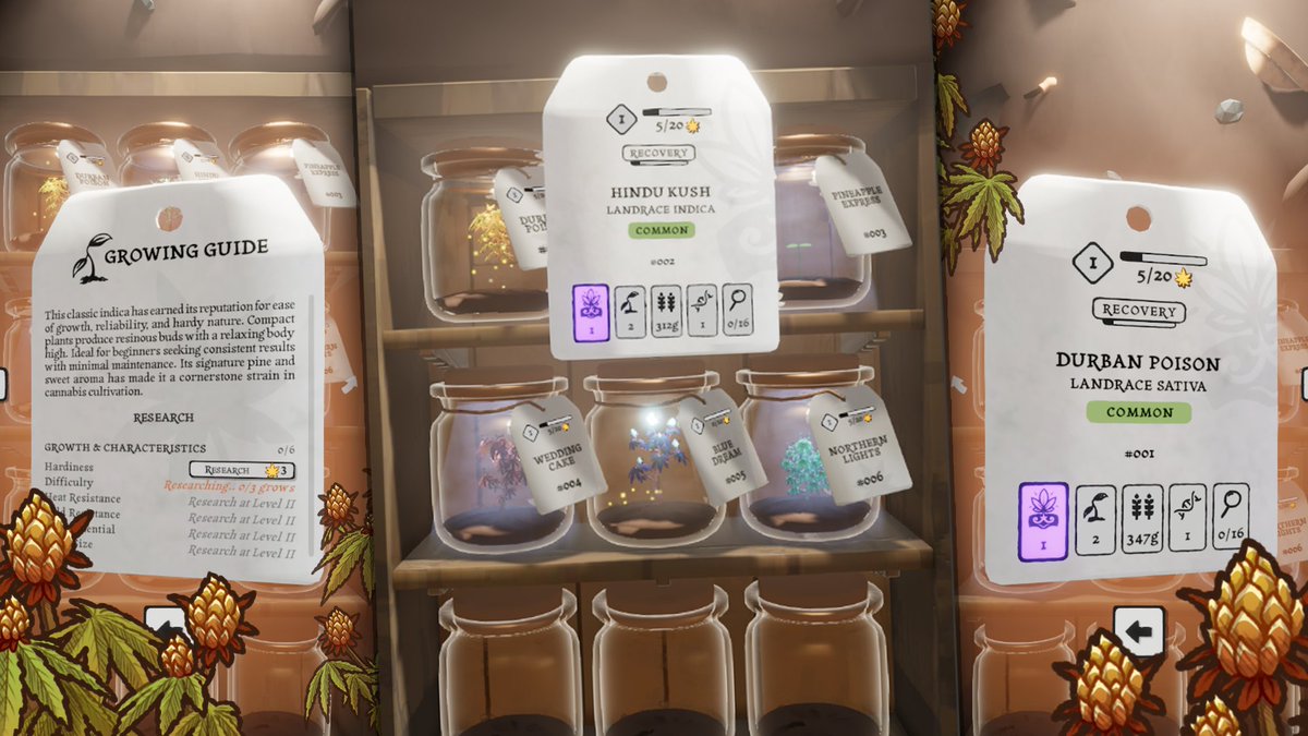 MakeGamesPlay's tweet photo. Explore 6 cannabis strains in the #GrowBud demo dropping on Steam 29 Sep!🪴Grow, harvest, research, and unlock genetic expressions for each strain.

https://t.co/vkgmztO1HW

#indiedev #gamedev https://t.co/pw7NOXnXLt
