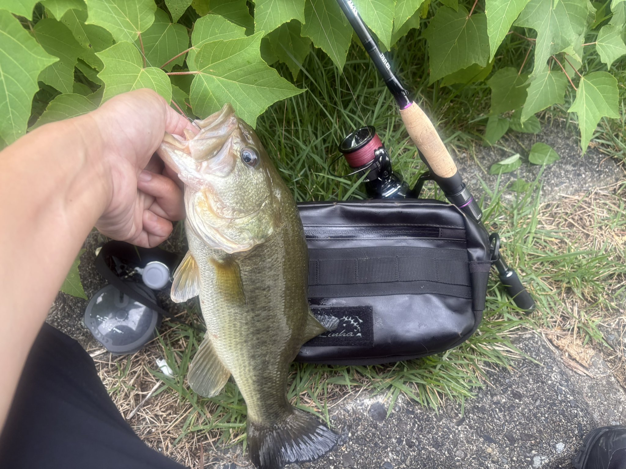 pr含みます - অনুসন্ধান / X