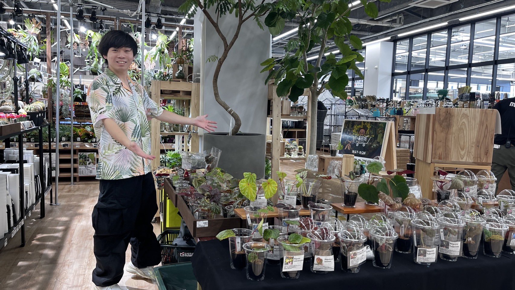 【さらにお値下げしました】ベゴニア百科 トイ吉園芸 @10/4,5On The Plants 福岡 (@toikichi_02) / X