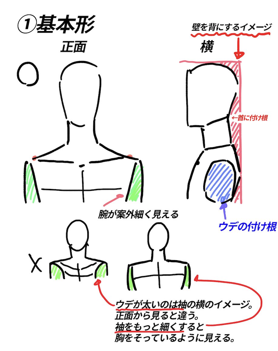 ●肩の描き方まとめ
①正面横の基本形を理解する
②肩は上から見るとカーブしている
③左右の肩は連動して動く
④動きたり、寝たりすると首は隠れる
曖昧になりがちな首肩周りですがとにかく【観察】することです。
肩は複雑すぎるので常に見ることを怠らないようにする
!!
