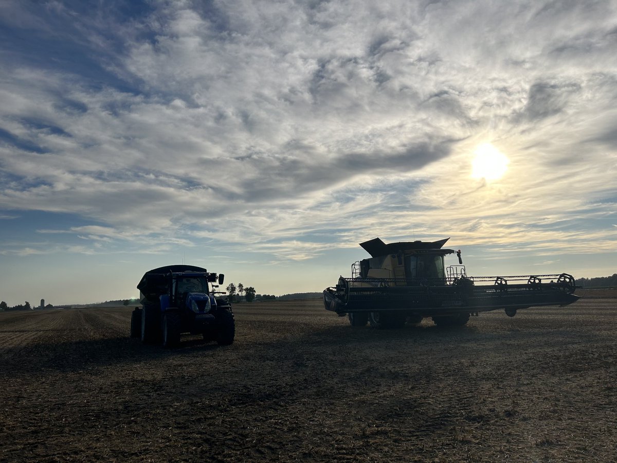 Nice photo after a good day of white beans