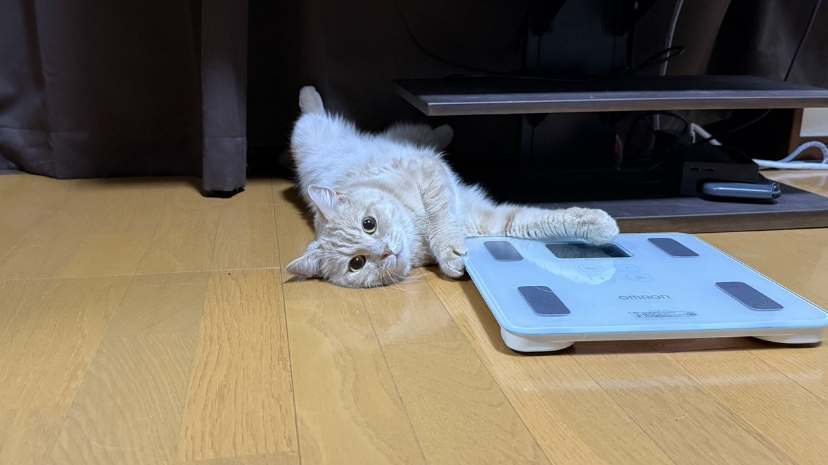 ppiittoo0528's tweet photo. https://t.co/vpEx0Y24Sz