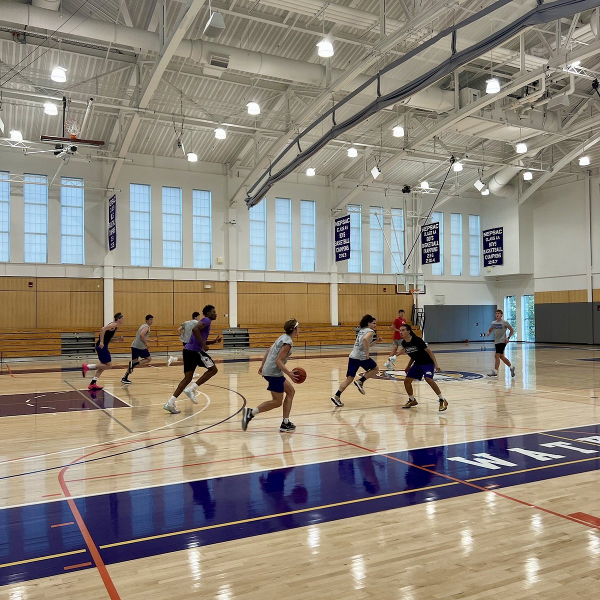 Pro Insight tweet media