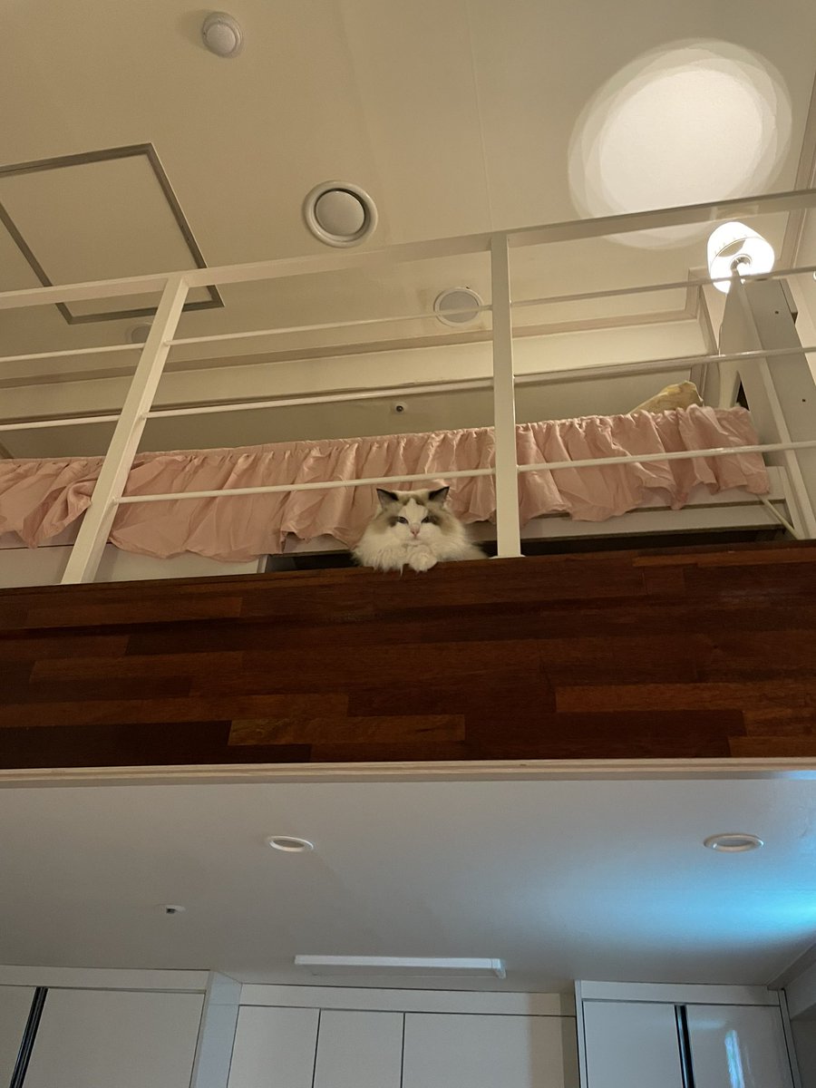 집 가서 레이 보고 싶다…